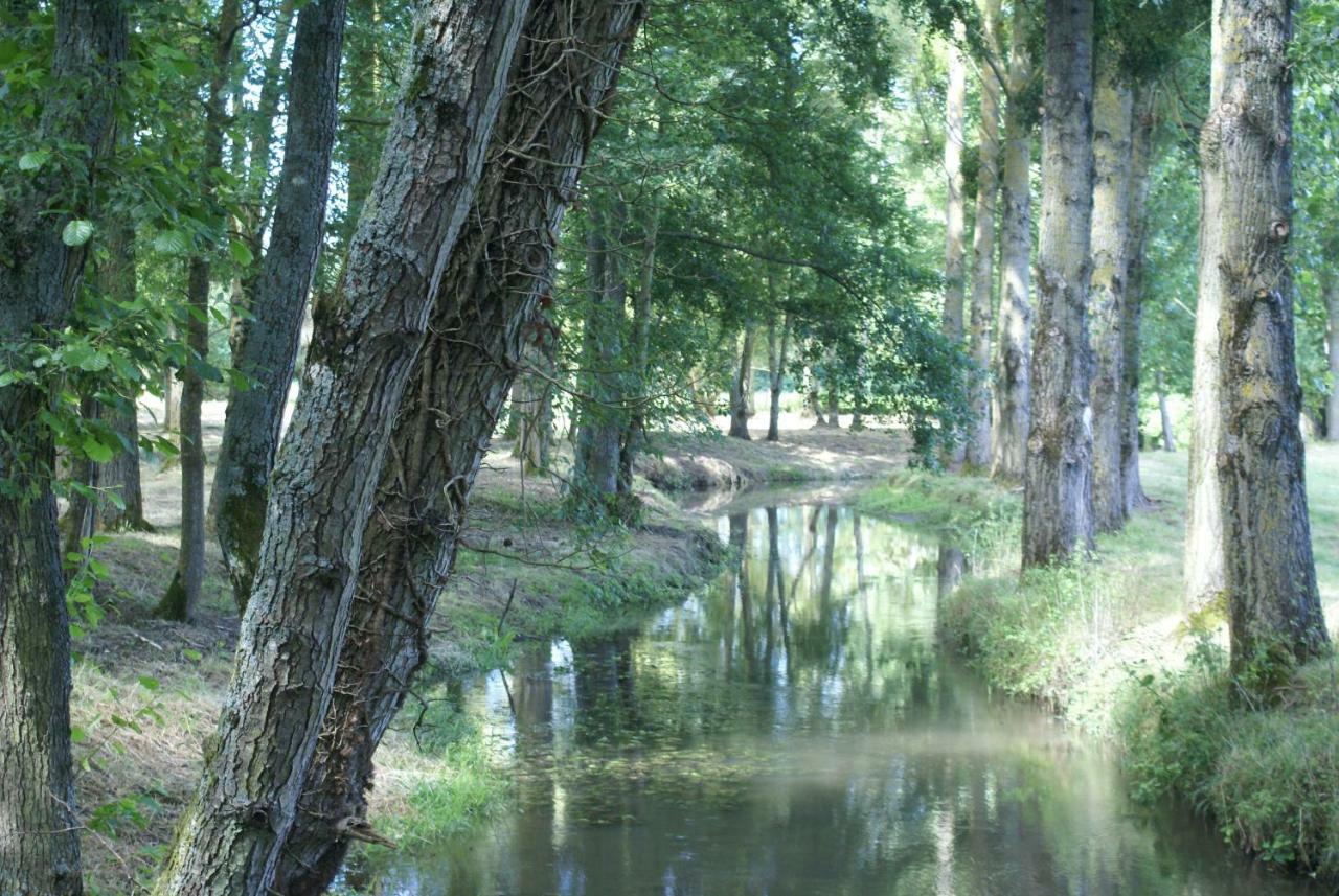 Moulin De Champrond -Montmirail -Sarthe Bed and Breakfast Eksteriør billede